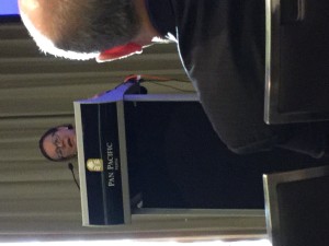 Professor Fiona Wood 